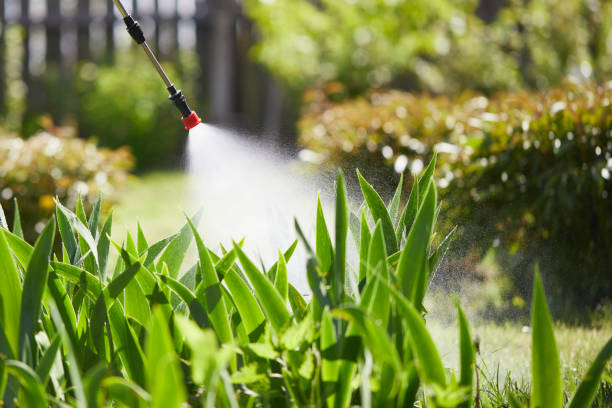 24/7 Emergency Wasp Removal experts in Punxsutawney, PA