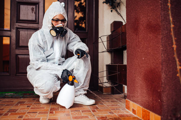 Reliable Wasp Removal contractor in Punxsutawney, PA by Show Me Pest Control